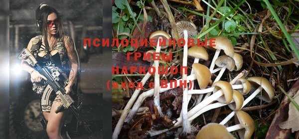 прущие крисы Навашино