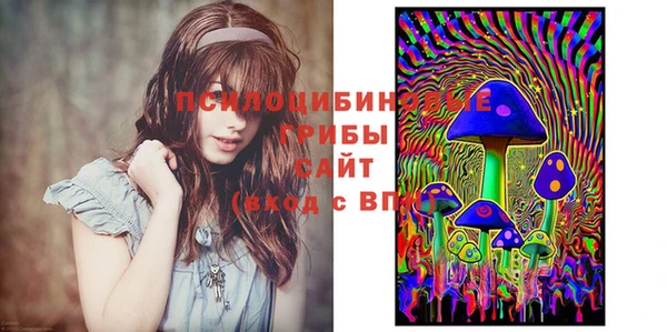 мдпв Наволоки